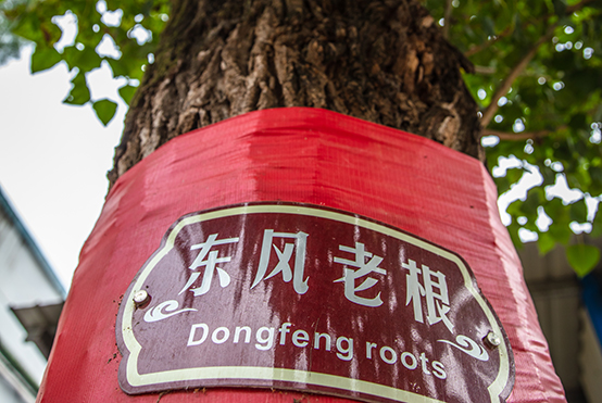 ��ʱ|AG(AsiaGaming)������Ӫ���ϸ�